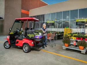 Golf Cart